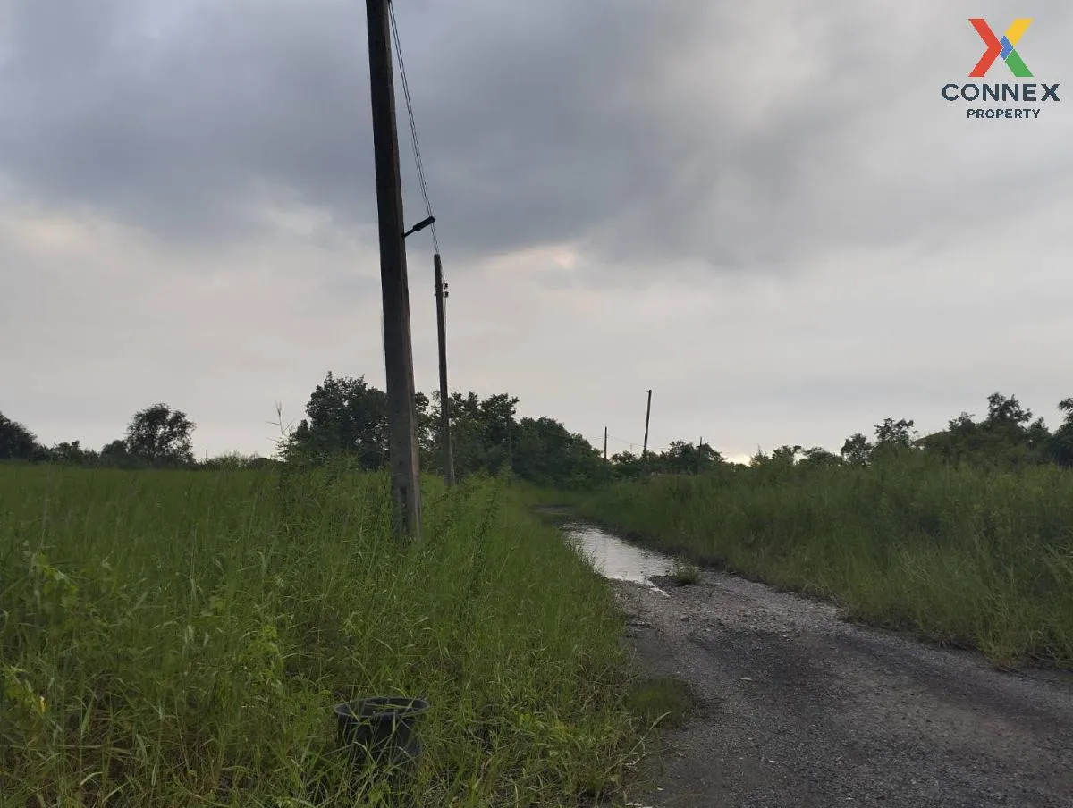 ขายที่ดินเปล่า  ฉลองกรุง ริเวอร์วิลล์ รีสอร์ท ลำผักชี เขต หนองจอก 1