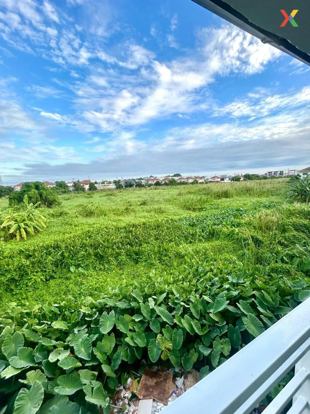 ขายทาวน์เฮ้าส์/ทาวน์โฮม  ปิยวรารมย์ 2 ไทรน้อย ไทรน้อย นนทบุรี CX- ขายทาวน์เฮ้าส์/ทาวน์โฮม  ปิยวรารมย์ 2 ไทรน้อย ไทรน้อย นนทบุรี CX-