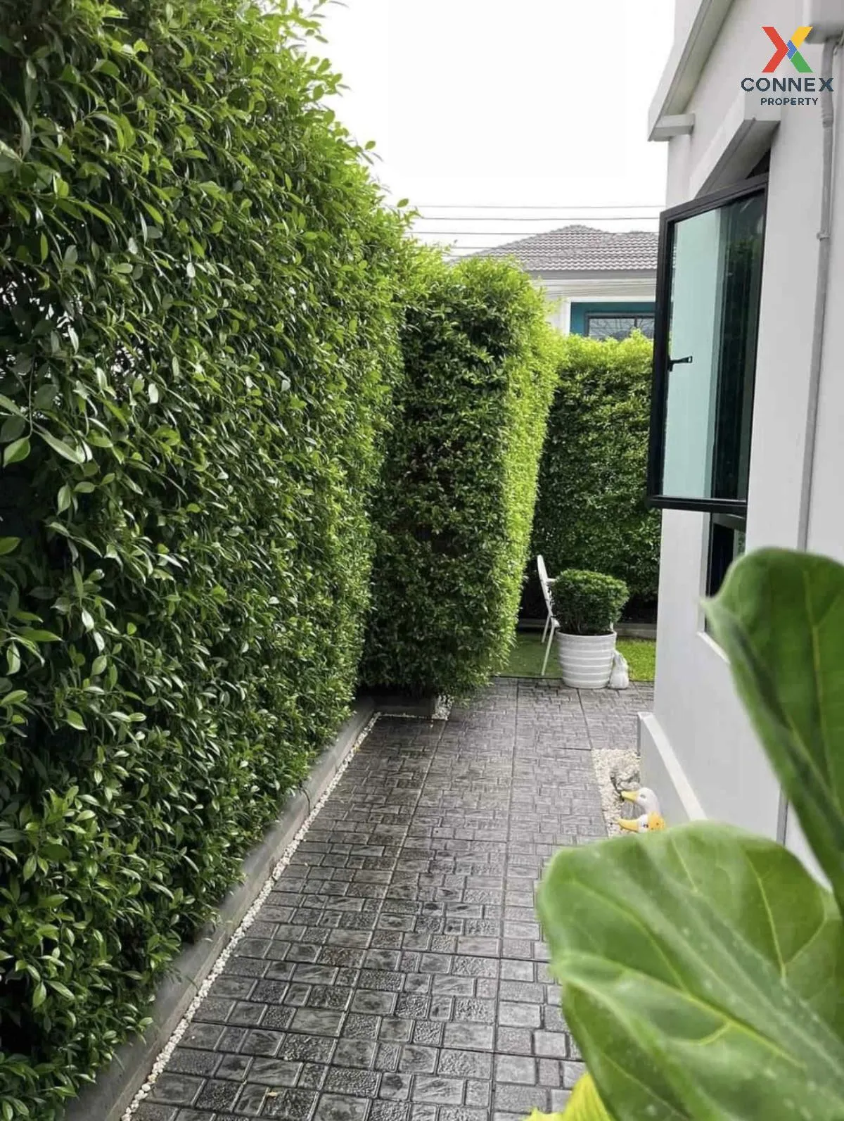 For Sale House , DELIGHT RATTANATHIBET – THA IT , Tha It , Pak Kr For Sale House , DELIGHT RATTANATHIBET – THA IT , Tha It , Pak Kr 3