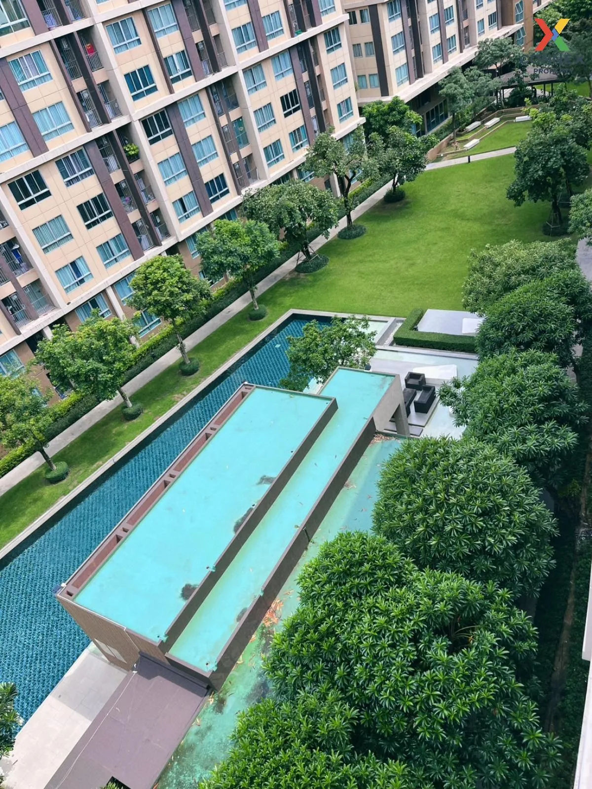 For Rent Condo , D Condo Campus Resort Rangsit , Khlong Nueng , k