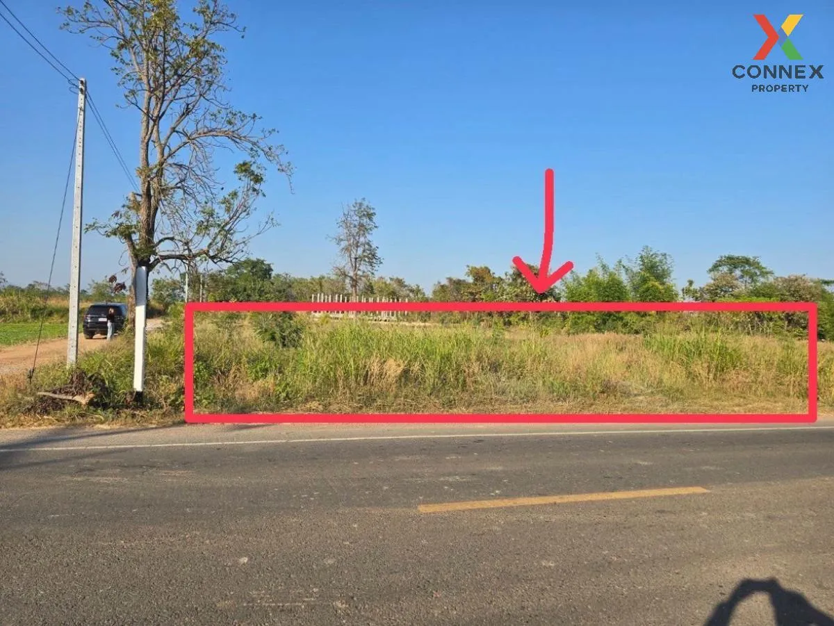 ขายที่ดินเปล่า เนื้อที่ 1 ไร่  77 ตารางวา บ้านโภชน์ หนองไผ่ เพชรบ 2