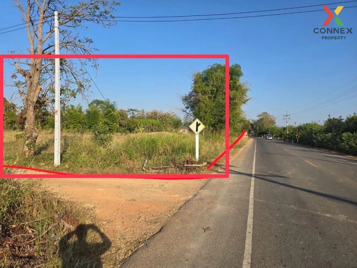 ขายที่ดินเปล่า เนื้อที่ 1 ไร่  77 ตารางวา บ้านโภชน์ หนองไผ่ เพชรบ 3