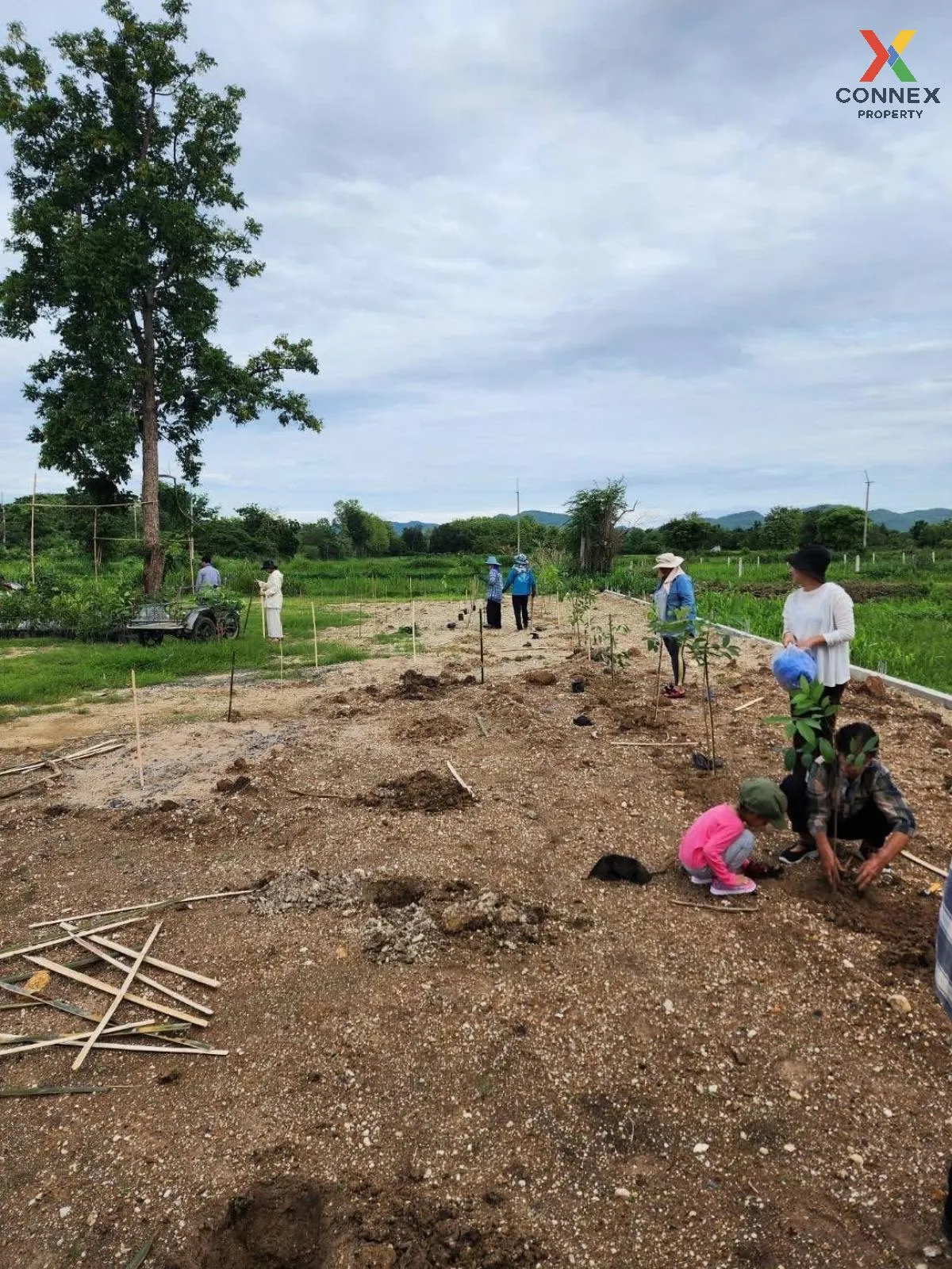 ขายที่ดินเปล่า เนื้อที่ 1 ไร่  77 ตารางวา บ้านโภชน์ หนองไผ่ เพชรบ 4