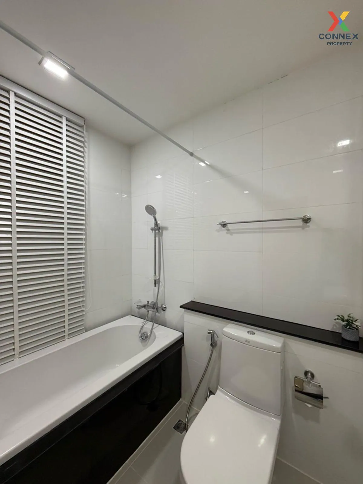 For Rent Condo , The Coast Bangkok , BTS-Bang Na , Bang Na , Bang