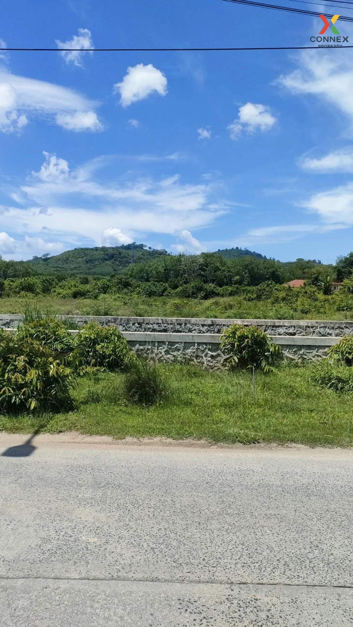 For Sale land 48-3-44.5 rai Thalang Phuket , Si Sunthon , Thalang 1