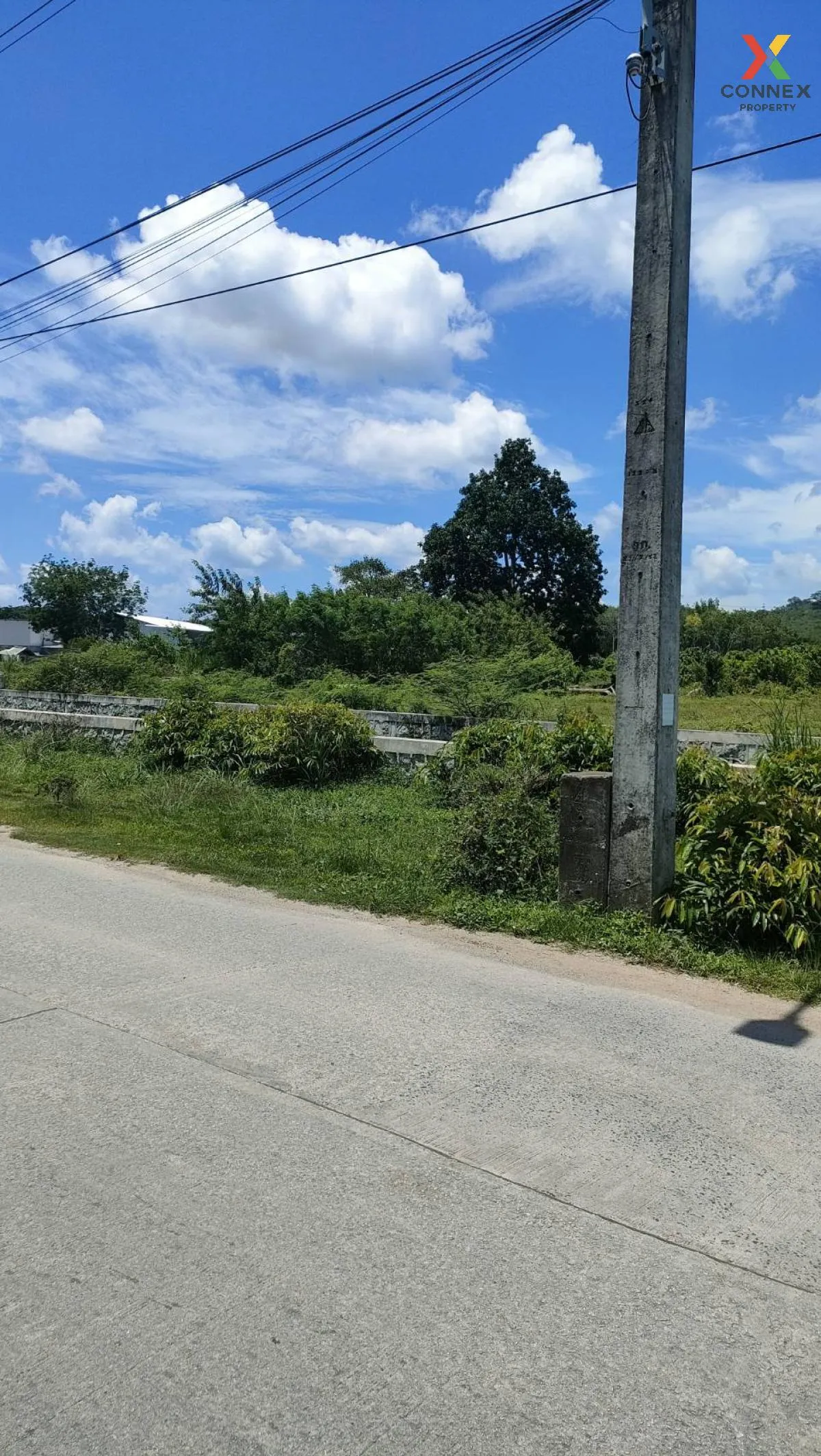 For Sale land 48-3-44.5 rai Thalang Phuket , Si Sunthon , Thalang 2