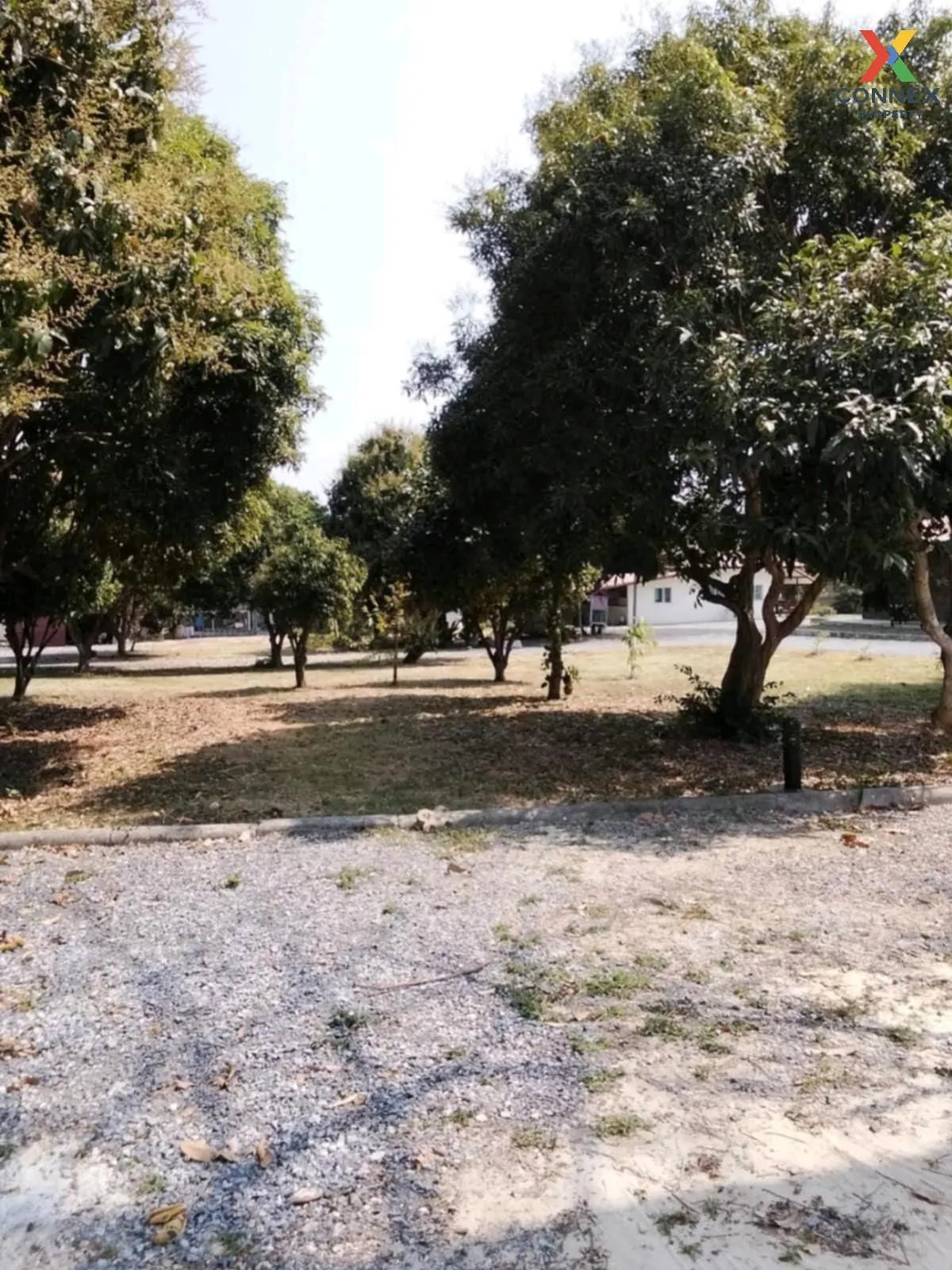 For Sale Khao Yai vacation home 9.3 rai , Khanong Phra , Pak Chon