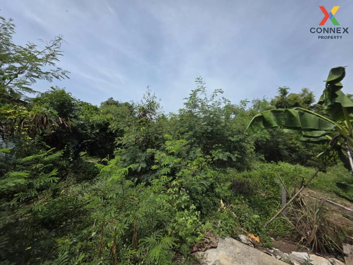 For Sale land area 1-3-90.7 Bang Sai Phra Nakhon Si Ayutthaya , B 4