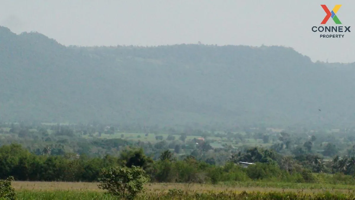 For Sale Vacant land 3 rai 3 ngan 35 sq m Khao Yai , Wang Sai , P 2