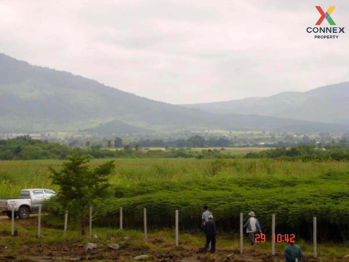 For Sale Vacant land 3 rai 3 ngan 35 sq m Khao Yai , Wang Sai , P 4