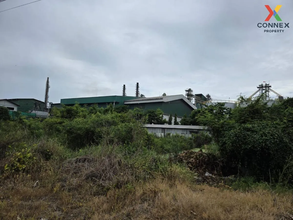 For Sale land area 1-0-29 square wa Nakhon Chai Si Nakhon Pathom  1