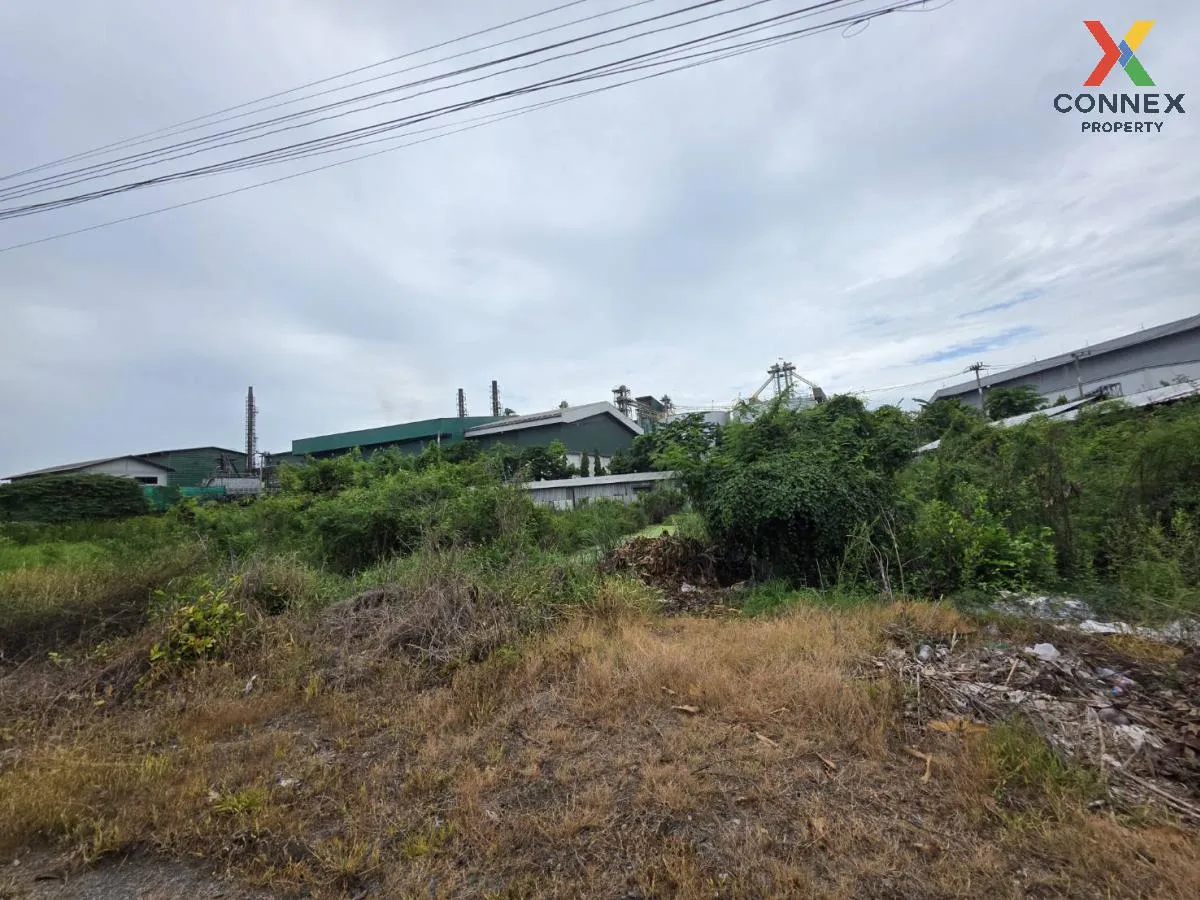 For Sale land area 1-0-29 square wa Nakhon Chai Si Nakhon Pathom  2