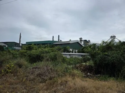 For Sale land area 1-0-29 square wa Nakhon Chai Si Nakhon Pathom , Thaiyawat , Nakhon Chai Si , Nakhon Pathom , CX-126278