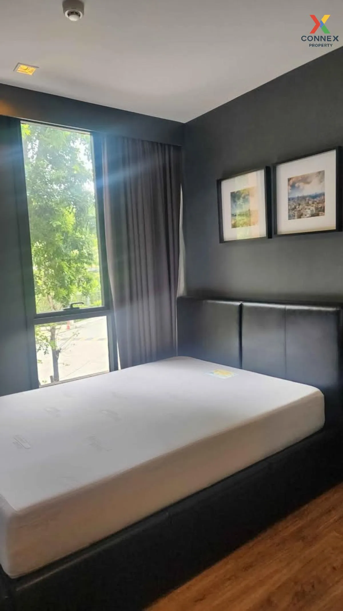 For Rent Condo , Hasu Haus Sukhumvit 77 , BTS-Phra Khanong , Phra