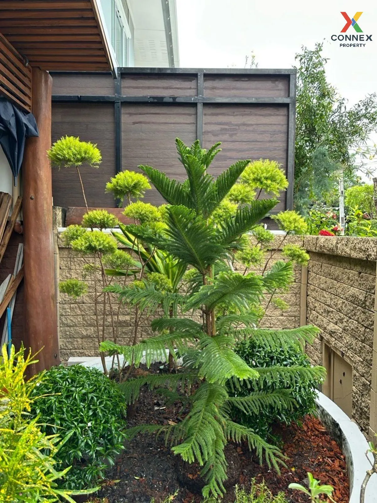 For Rent House , The Plant Chaengwattana , Ban Mai , Pak Kret , N For Rent House , The Plant Chaengwattana , Ban Mai , Pak Kret , N