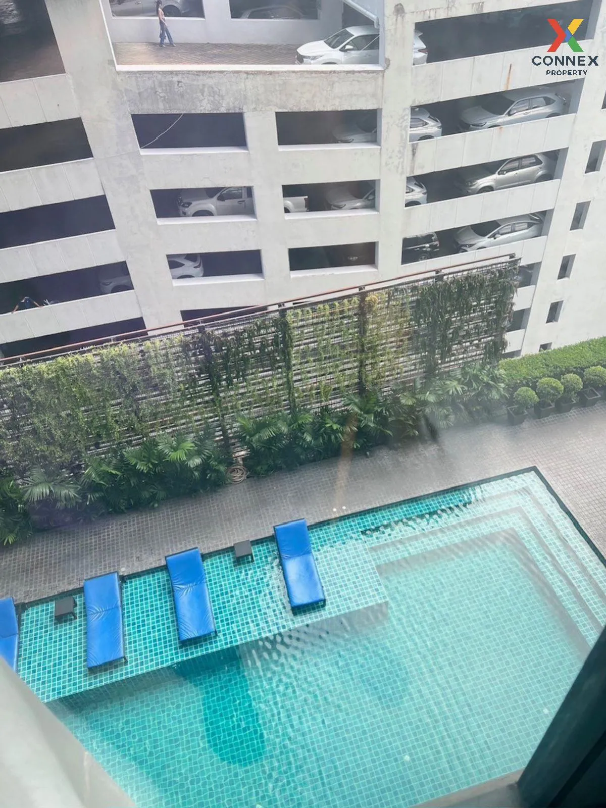 For Rent Condo , Movenpick Residences Condo Ekkamai , BTS-Ekkamai