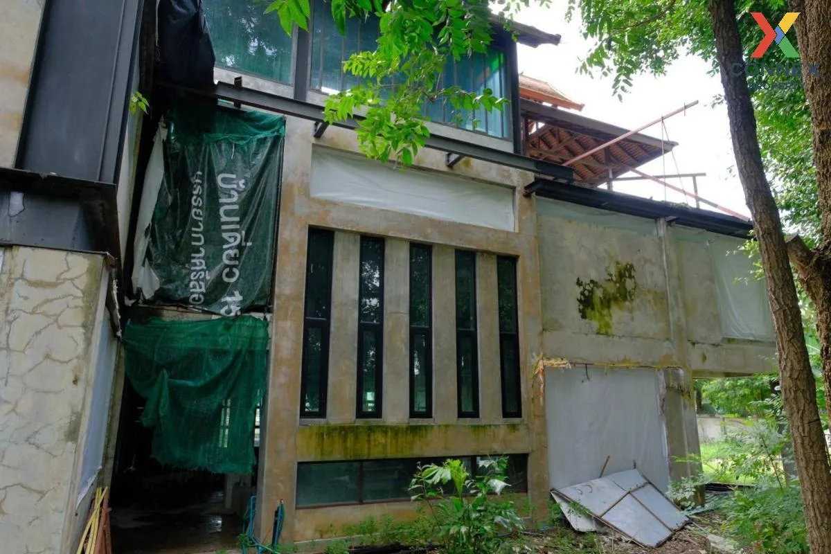 ขายที่ดินเปล่า พื้นที่ 5-1-44 บางปลาม้า สุพรรณบุรี โคกคราม บางปลา 3