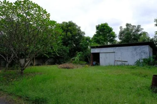 ขายที่ดินเปล่า พื้นที่ 5-1-44 บางปลาม้า สุพรรณบุรี โคกคราม บางปลาม้า สุพรรณบุรี CX-127139