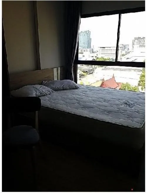 For Sale Condo , Plum Condo Sukhumvit 97.1 , BTS-Bang Chak , Bang Chak , Phra Khanong , Bangkok , CX-127543