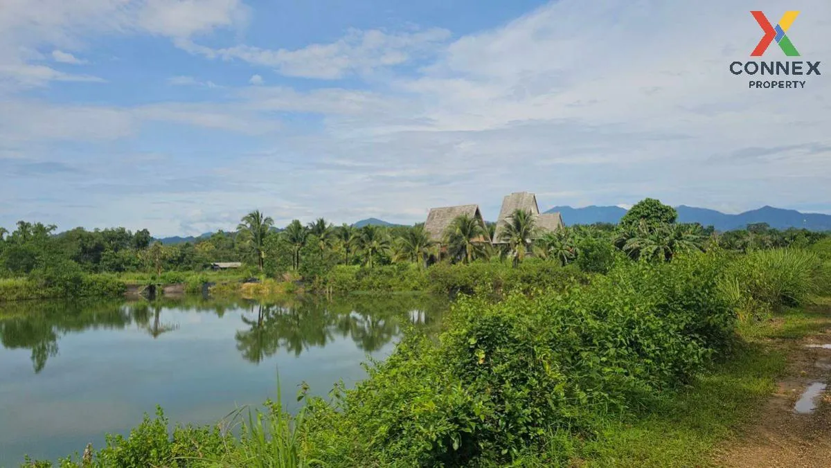 For Sale 200 rai of land next to the sea, Kaper District, Ranong  2