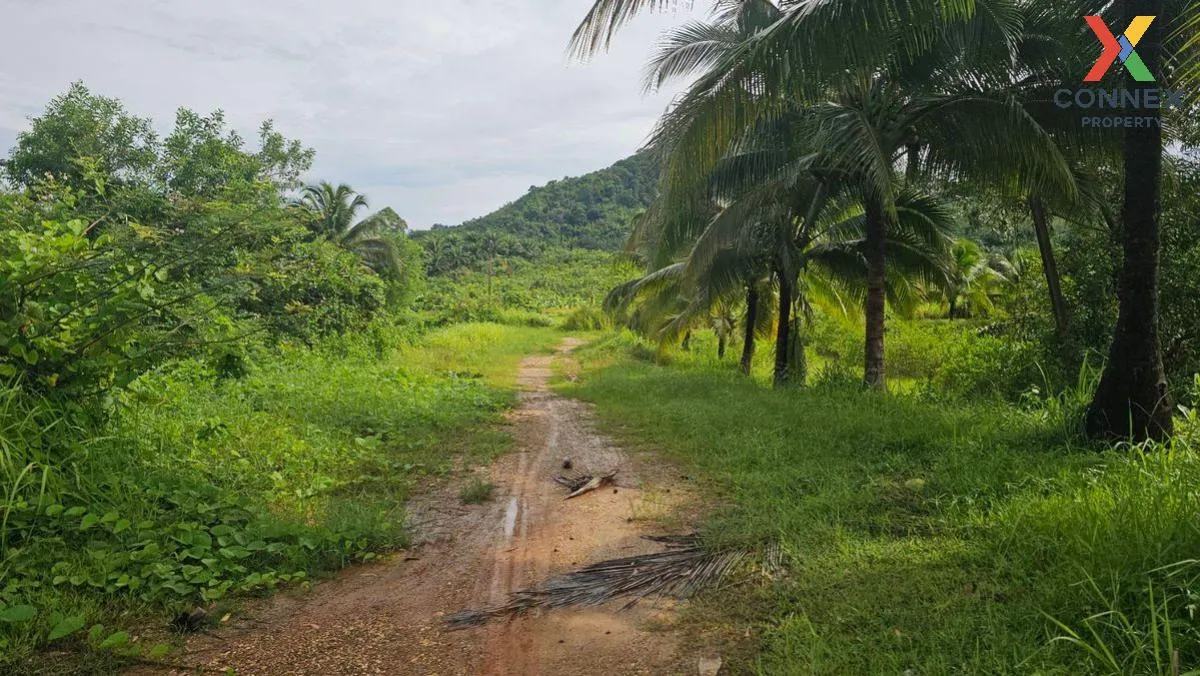 For Sale 200 rai of land next to the sea, Kaper District, Ranong  3