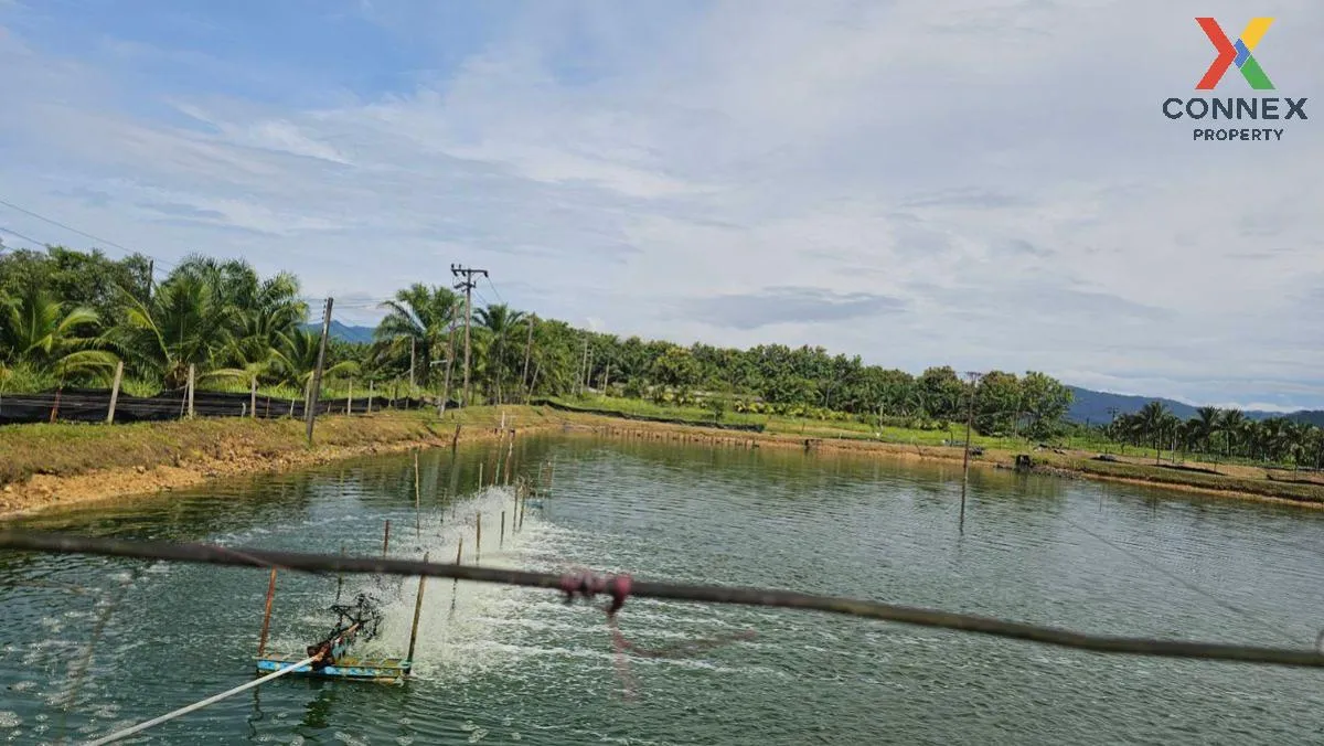 For Sale 200 rai of land next to the sea, Kaper District, Ranong 