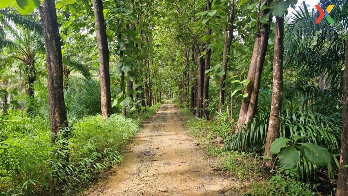 For Sale 200 rai of land next to the sea, Kaper District, Ranong 