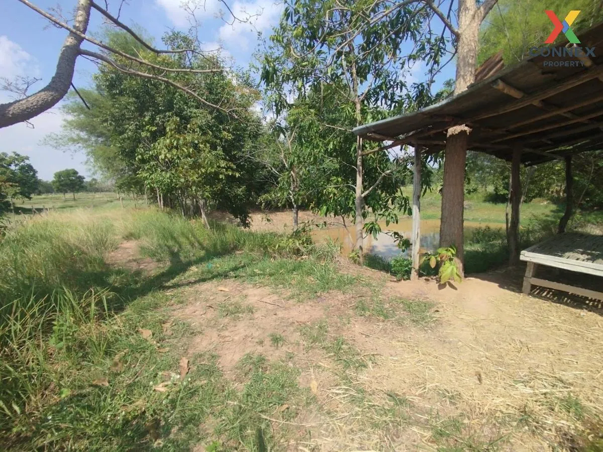 ขายที่นาเมืองพล ห่างถนนใหญ่เพียงนิดเดียว เก่างิ้ว พล ขอนแก่น C ขายที่นาเมืองพล ห่างถนนใหญ่เพียงนิดเดียว เก่างิ้ว พล ขอนแก่น C 1