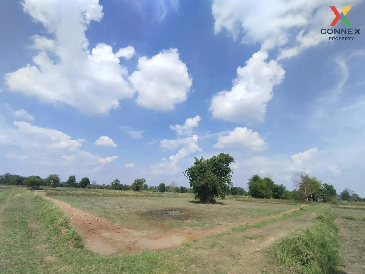 ขายที่นาเมืองพล ห่างถนนใหญ่เพียงนิดเดียว เก่างิ้ว พล ขอนแก่น C ขายที่นาเมืองพล ห่างถนนใหญ่เพียงนิดเดียว เก่างิ้ว พล ขอนแก่น C