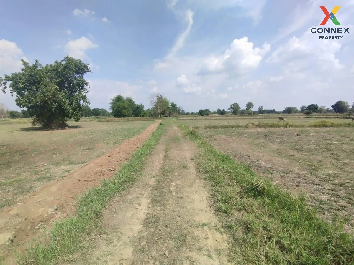 ขายที่นาเมืองพล ห่างถนนใหญ่เพียงนิดเดียว เก่างิ้ว พล ขอนแก่น C ขายที่นาเมืองพล ห่างถนนใหญ่เพียงนิดเดียว เก่างิ้ว พล ขอนแก่น C