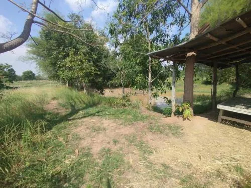 ขายที่นาเมืองพล​ ห่างถนนใหญ่​เพียงนิดเดียว​ เก่างิ้ว พล ขอนแก่น CX-128530