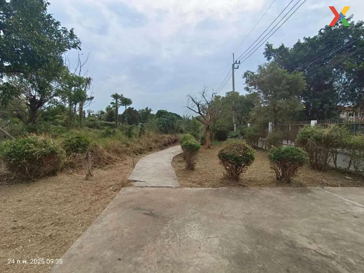 For Sale Land with buildings area 3859 square wah Sai Ma Nonthabu For Sale Land with buildings area 3859 square wah Sai Ma Nonthabu