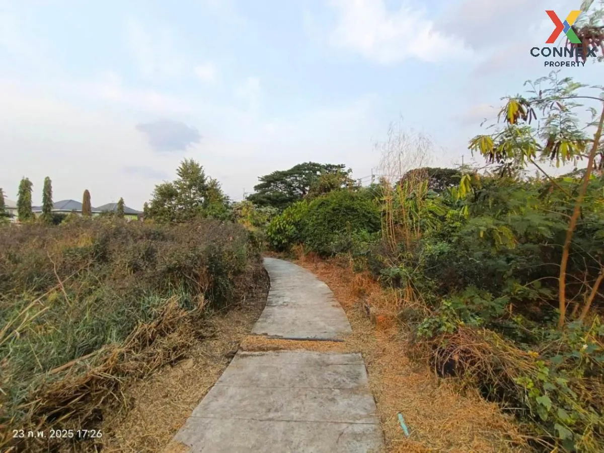 For Sale Land with buildings area 3859 square wah Sai Ma Nonthabu For Sale Land with buildings area 3859 square wah Sai Ma Nonthabu