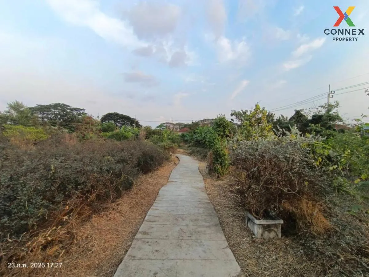 For Sale Land with buildings area 3859 square wah Sai Ma Nonthabu For Sale Land with buildings area 3859 square wah Sai Ma Nonthabu