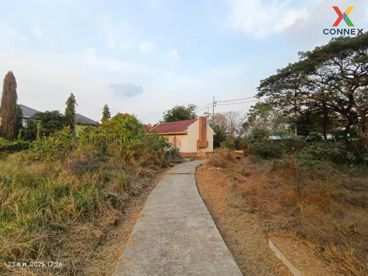 For Sale Land with buildings area 3859 square wah Sai Ma Nonthabu For Sale Land with buildings area 3859 square wah Sai Ma Nonthabu