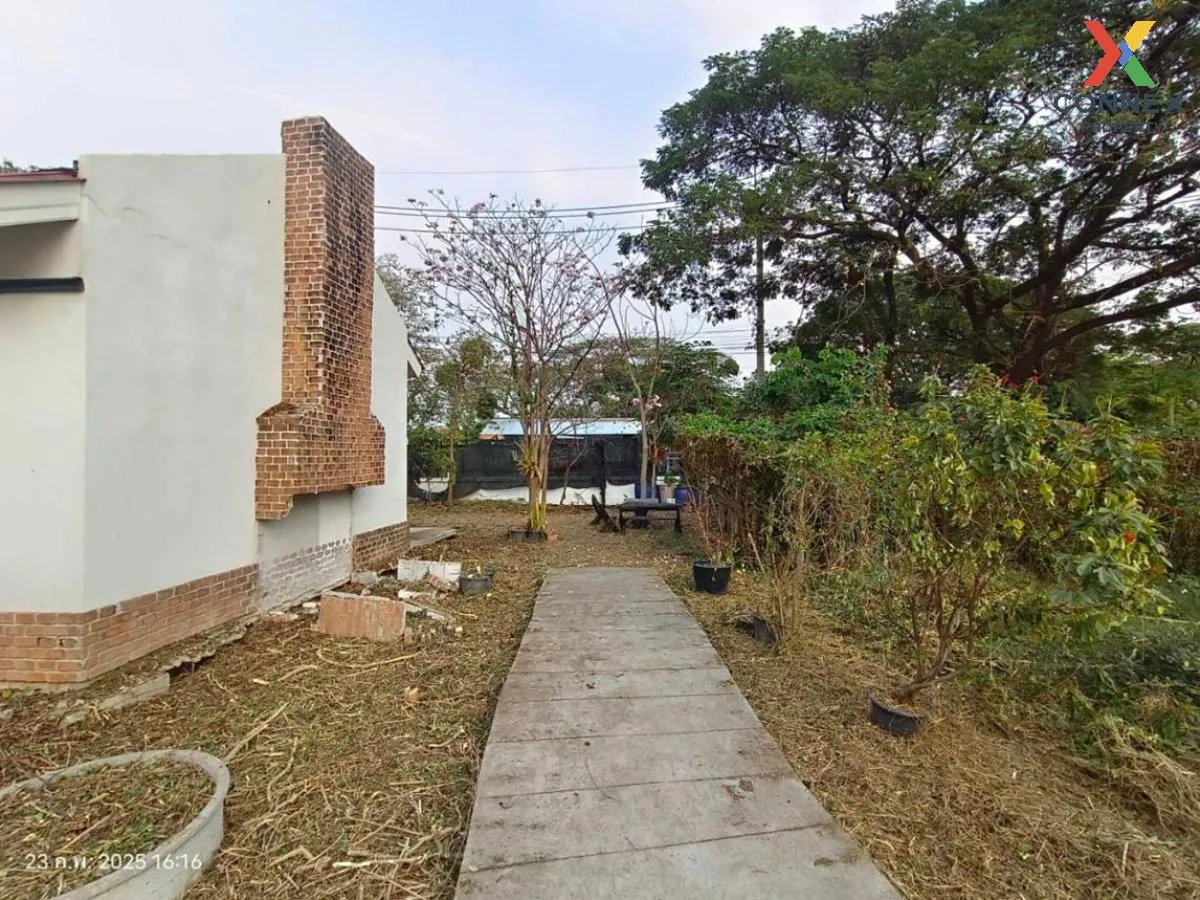For Sale Land with buildings area 3859 square wah Sai Ma Nonthabu For Sale Land with buildings area 3859 square wah Sai Ma Nonthabu