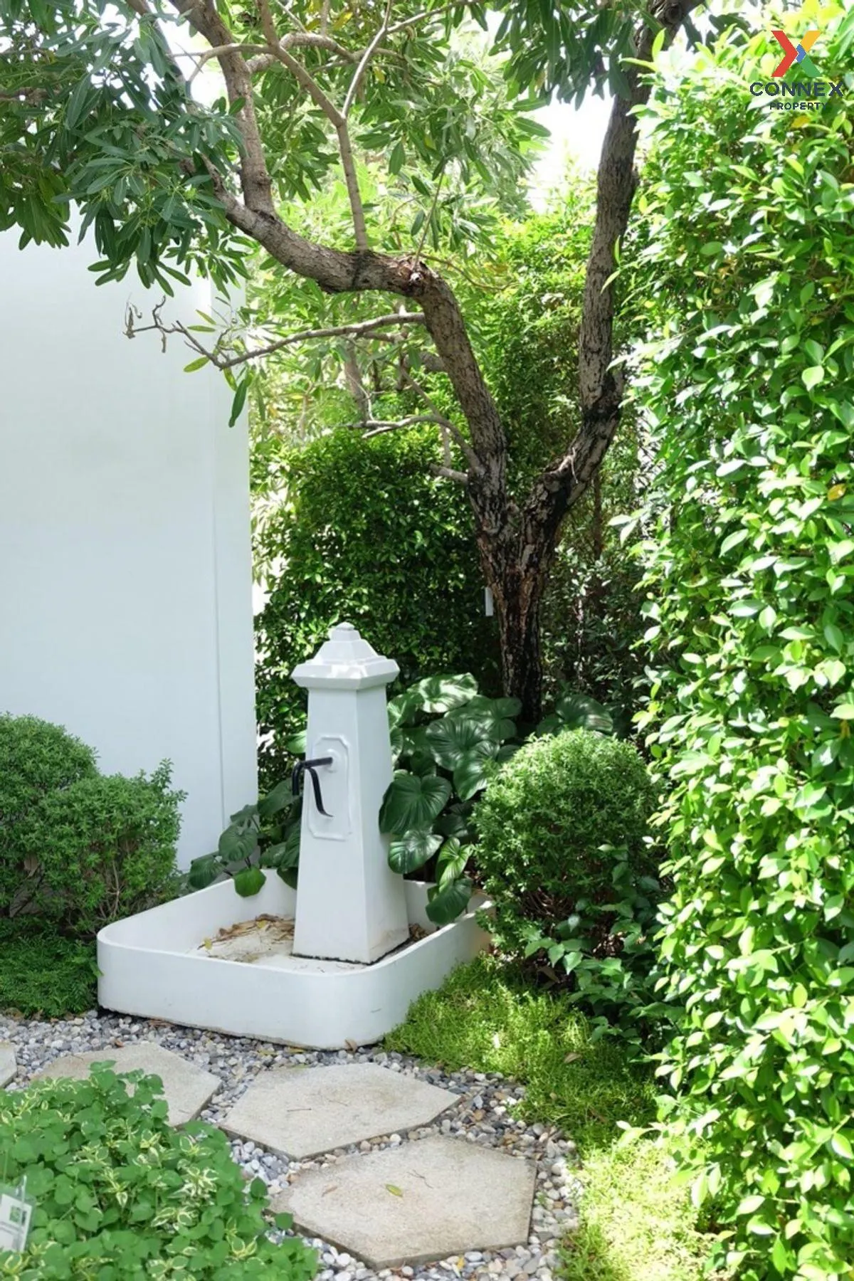 เช่า บ้าน  ชัยพฤกษ์ บางนา กม. 15 บางโฉลง บางพลี สมุทรปราการ CX-12