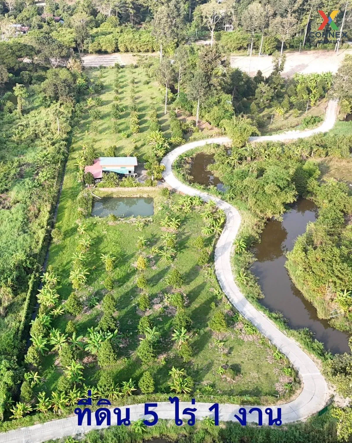 ขายที่ดินพร้อมสิ่งปลูกสร้าง เขาเพิ่ม บ้านนา นครนายก CX-129748 2