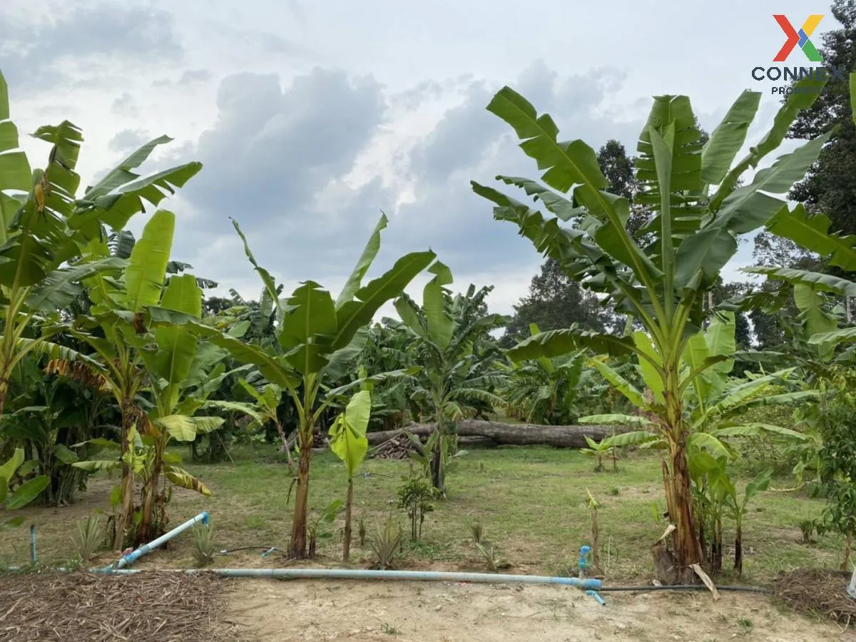 ขายที่ดินพร้อมสิ่งปลูกสร้าง เขาเพิ่ม บ้านนา นครนายก CX-129748 4