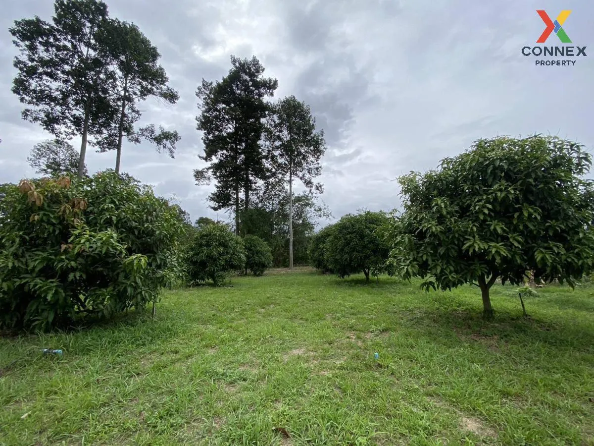 ขายที่ดินพร้อมสิ่งปลูกสร้าง เขาเพิ่ม บ้านนา นครนายก CX-129748