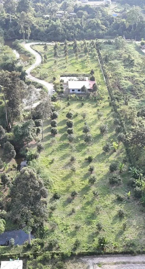 ขายที่ดินพร้อมสิ่งปลูกสร้าง เขาเพิ่ม บ้านนา นครนายก CX-129748