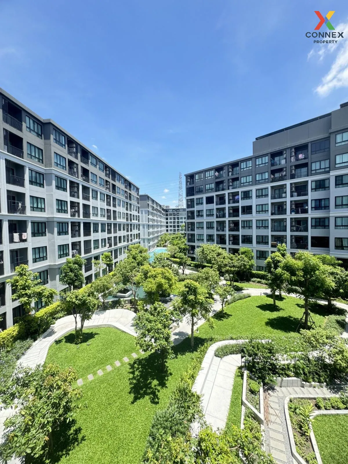 For Rent Condo , Dcondo Campus Hideaway , Khlong Nueng , khlong L