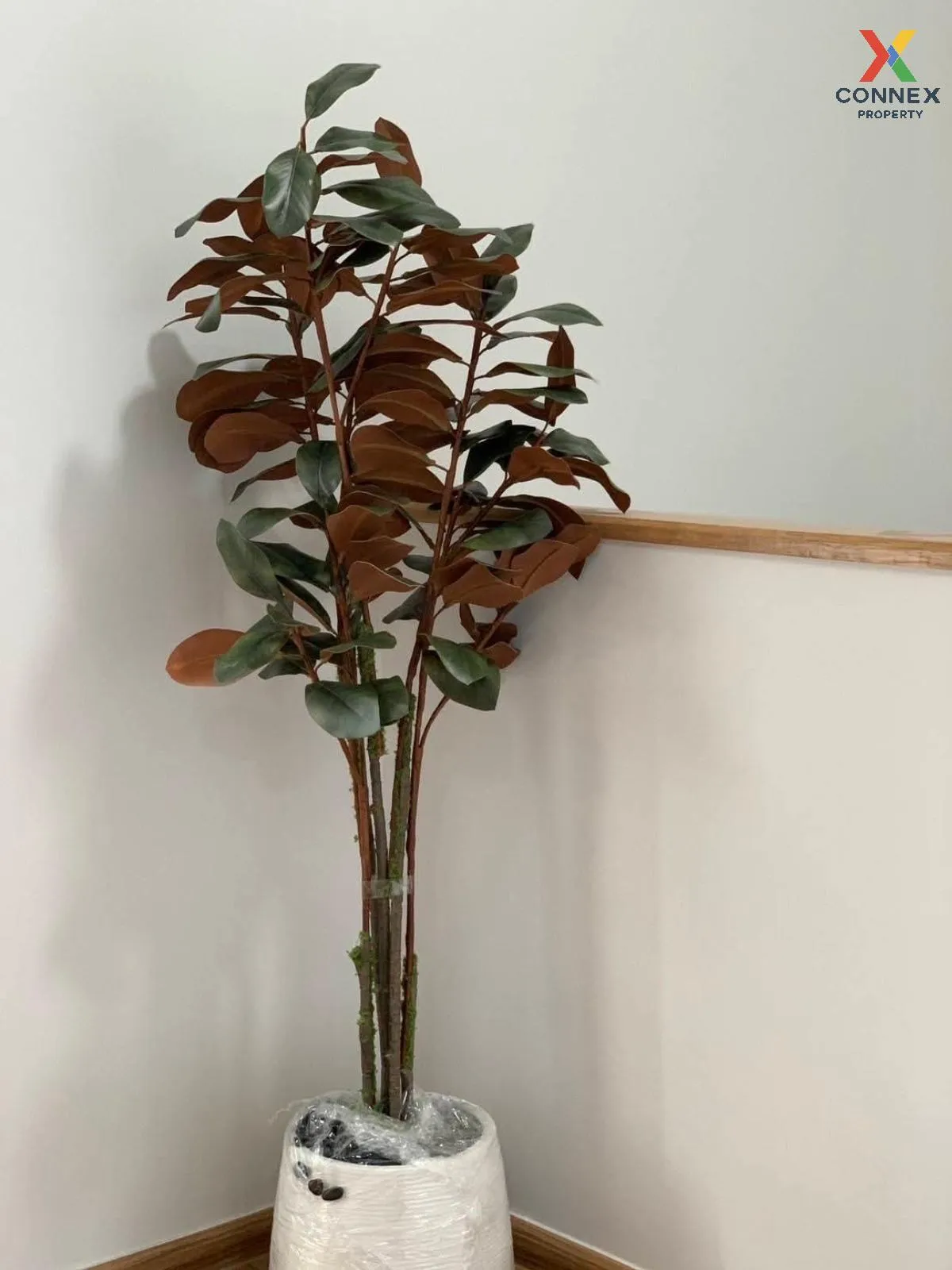 For Rent Townhouse/Townhome  , Pleno Sukhumvit-Bangna 3 , Bang Ka