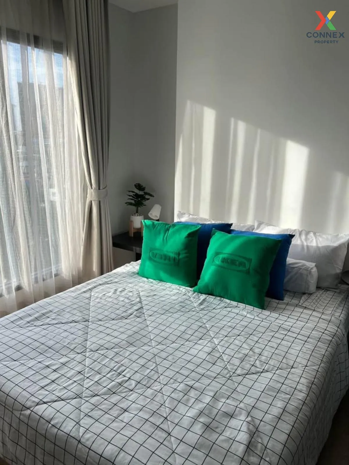 For Rent Condo , Modiz Sukhumvit 50 , BTS-On Nut , Phra Khanong ,