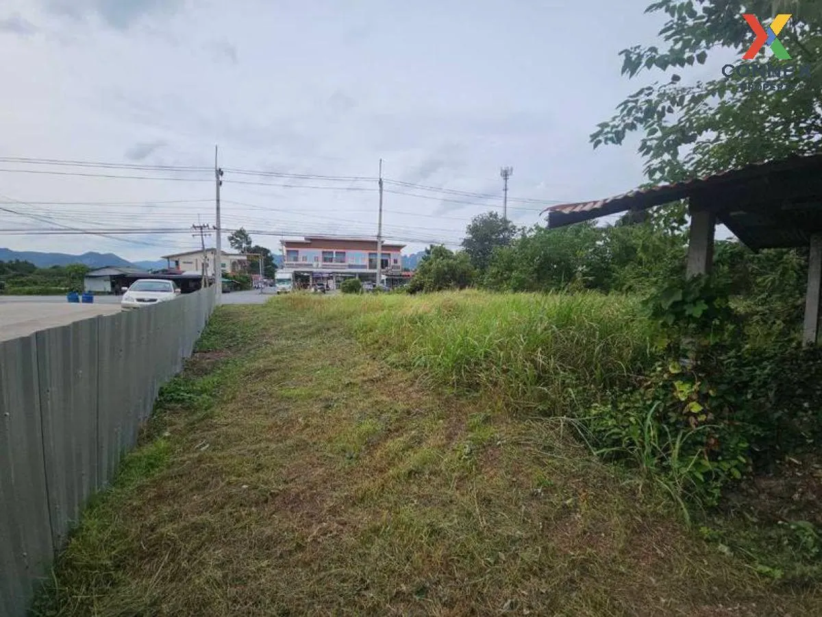 For Rent 5 rai of vacant land, Muang Lop Buri District , Nikhom S