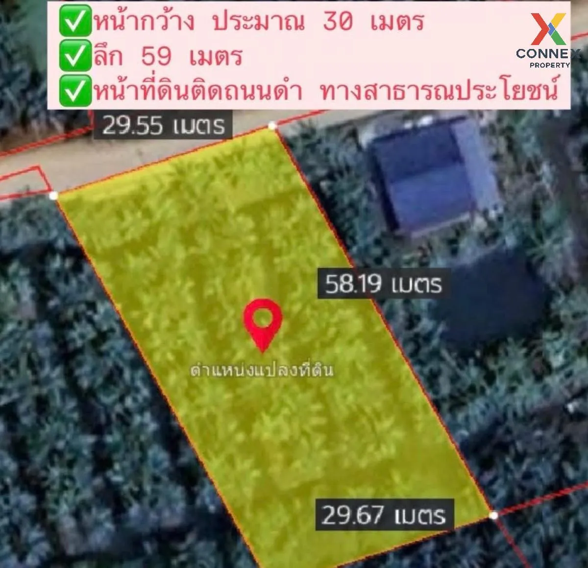 ขายที่ดินมะพร้าวน้ำหอม หนองบัว บ้านแพ้ว สมุทรสาคร CX-130456