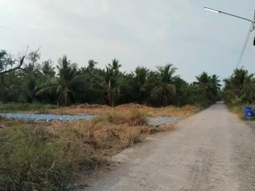 For Sale The land has been reclaimed. , Yok Krabat , Ban Phaeo , Samut Sakhon , CX-130458