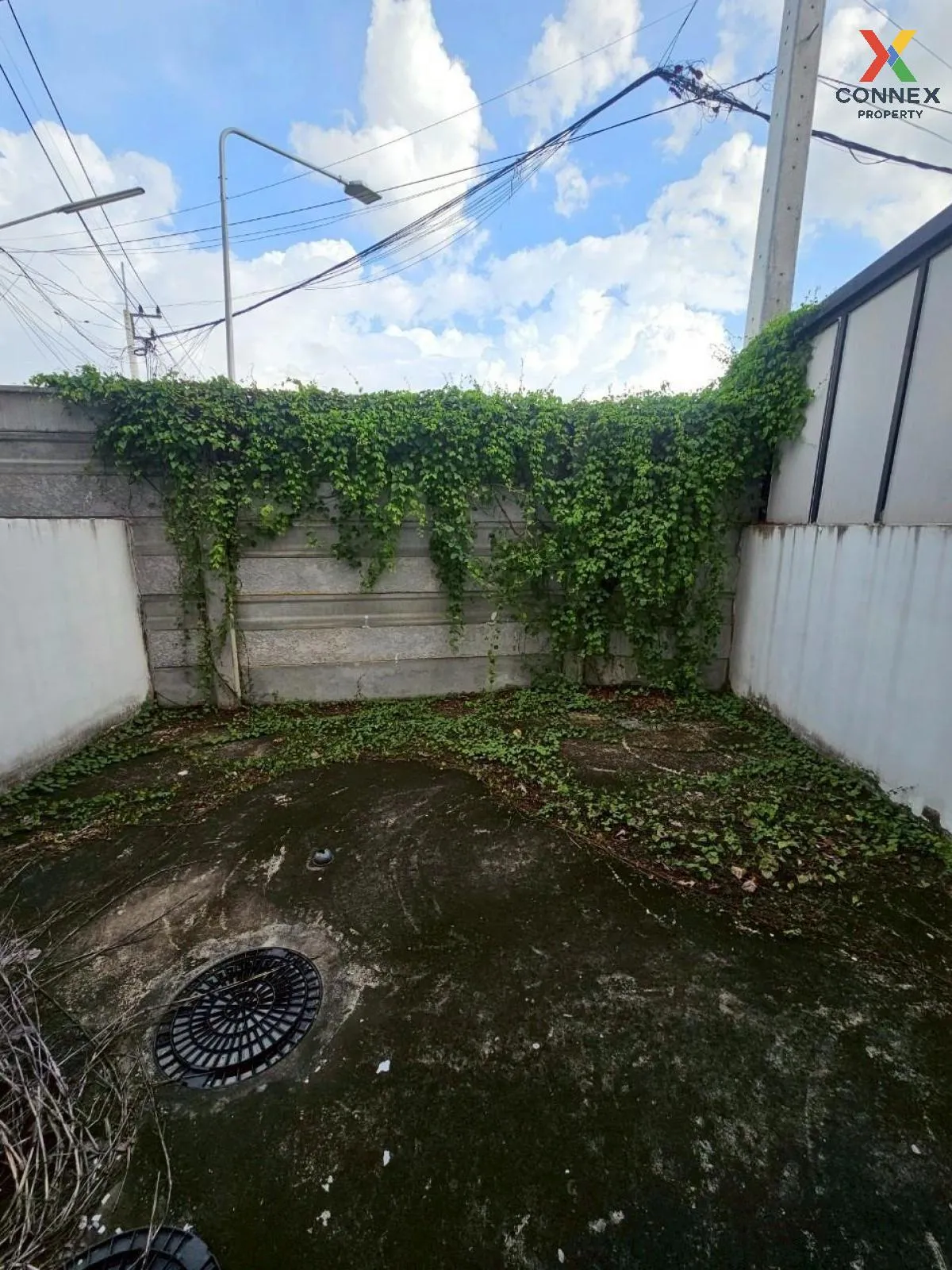 เช่าอาคารพาณิชย์  เดอะ คอนเนค บริซทาวน์ กรุงเทพ - ปทุมธานี บางเดื เช่าอาคารพาณิชย์  เดอะ คอนเนค บริซทาวน์ กรุงเทพ - ปทุมธานี บางเดื