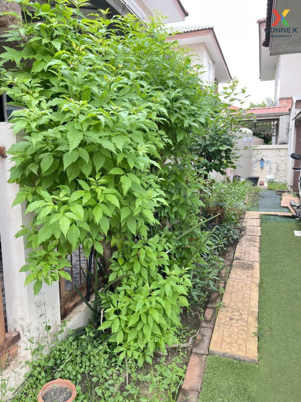 For Sale House , Kanda Park Rama 2 , nice view , corner unit , wi