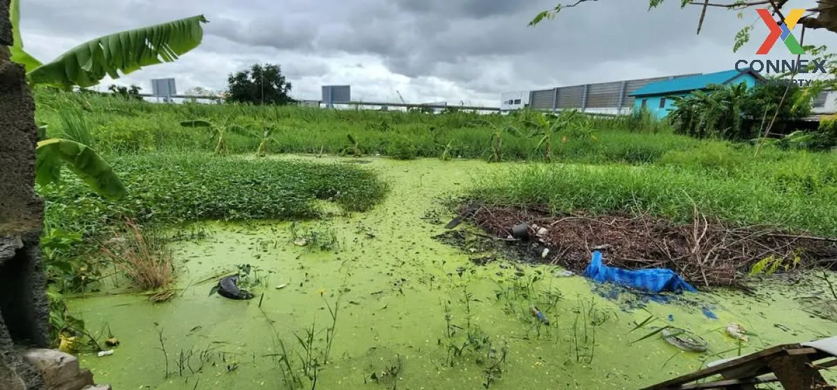 For Sale Land , National Housing Authority Nakorn 2 Village , riv